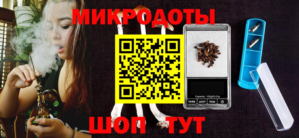Тайшет  Галлюциногенные грибы MAGIC MUSHROOMS  Псилоцибиновые грибы Psilocybe  Вход с VPN 